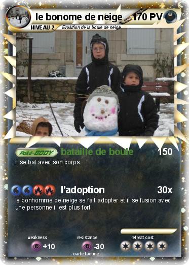 Pokemon le bonome de neige