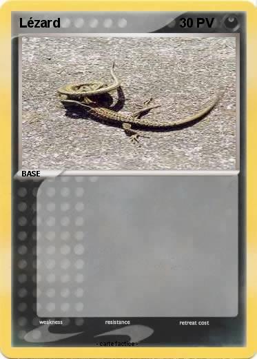 Pokemon Lézard