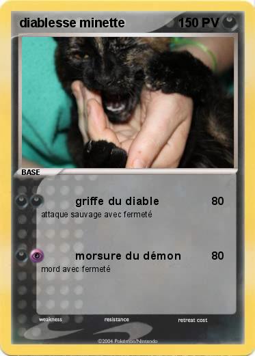 Pokemon diablesse minette 