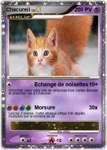 Pokemon Chacureil