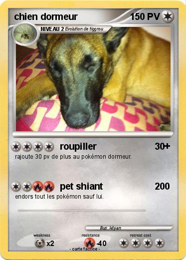Pokemon chien dormeur