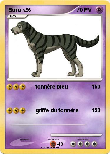 Pokemon Buru
