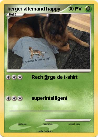 Pokemon berger allemand happy