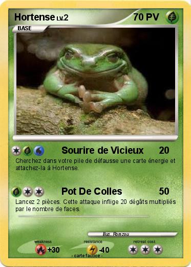 Pokemon Hortense