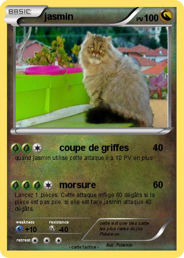 Pokemon jasmin