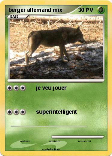 Pokemon berger allemand mix