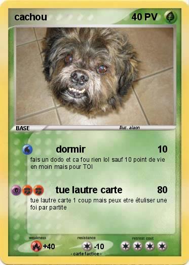 Pokemon cachou