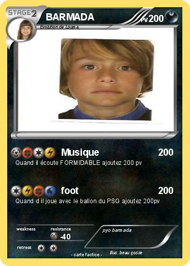 Pokemon BARMADA