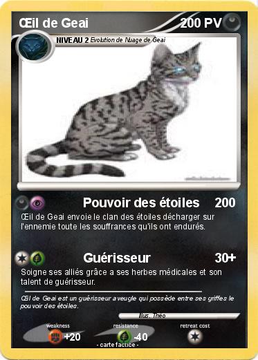 Pokemon Œil de Geai