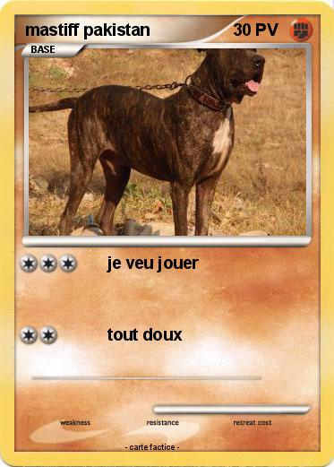 Pokemon mastiff pakistan