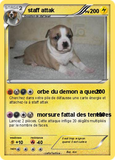 Pokemon staff attak