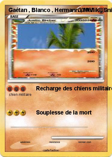 Pokemon Gaétan , Blanco , Hermann , Méllik , Sniper , Thunger et Léctor
