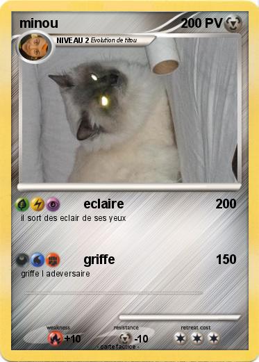 Pokemon minou