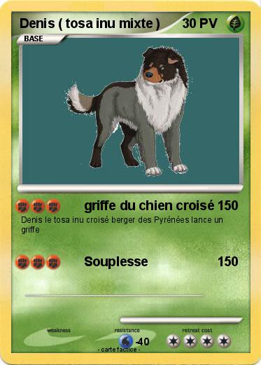Pokemon Denis ( tosa inu mixte )