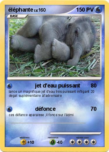 Pokemon éléphante