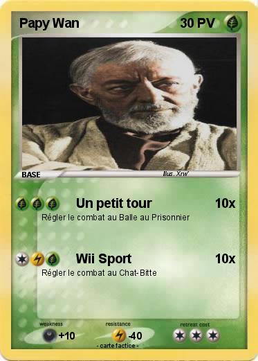 Pokemon Papy Wan