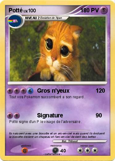 Pokemon Potté