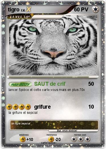 Pokemon tigro