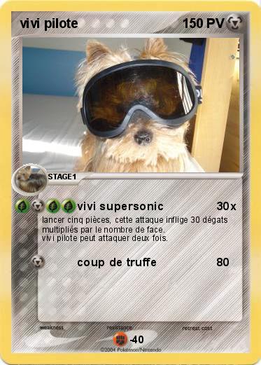 Pokemon vivi pilote