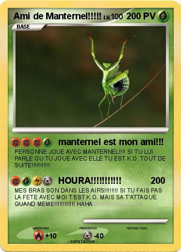 Pokemon Ami de Manternel!!!!!