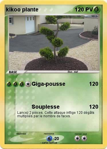 Pokemon kikoo plante