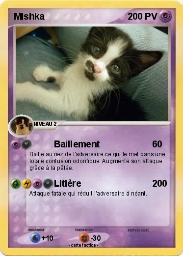 Pokemon Mishka