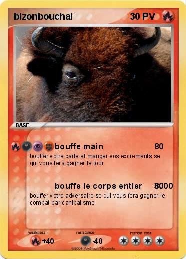 Pokemon bizonbouchai