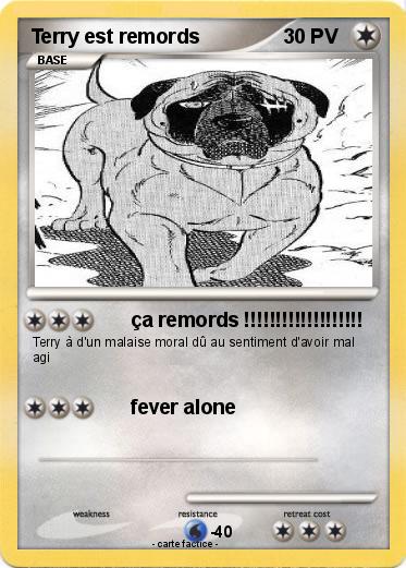 Pokemon Terry est remords