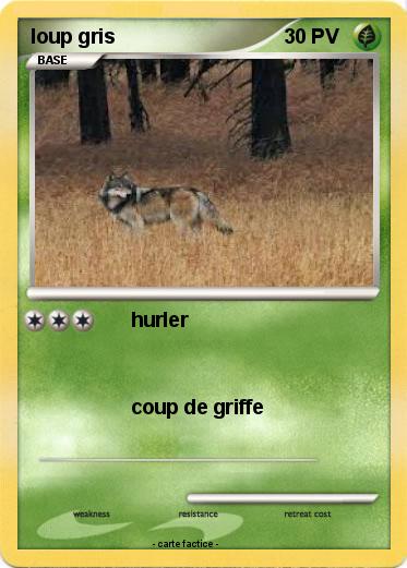 Pokemon loup gris