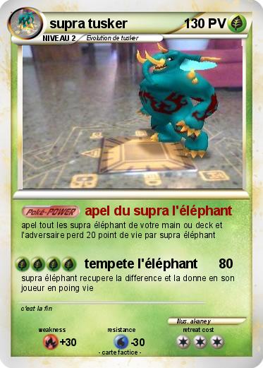 Pokemon supra tusker