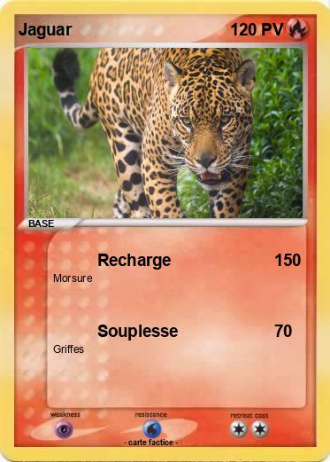 Pokemon Jaguar