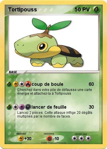 Pokemon Tortipouss