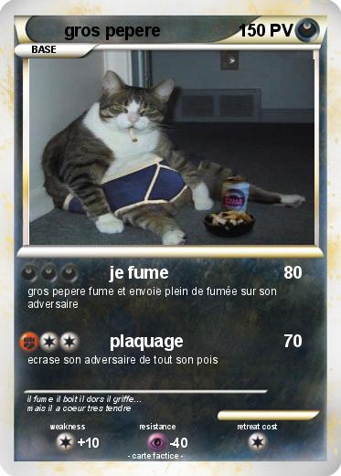Pokemon gros pepere