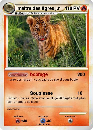 Pokemon maitre des tigres j.r