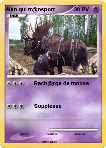 Pokemon élan qui tr@nsport