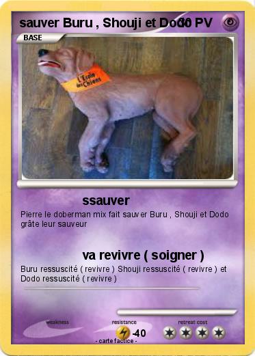 Pokemon sauver Buru , Shouji et Dodo