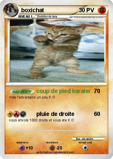 Pokemon boxichat