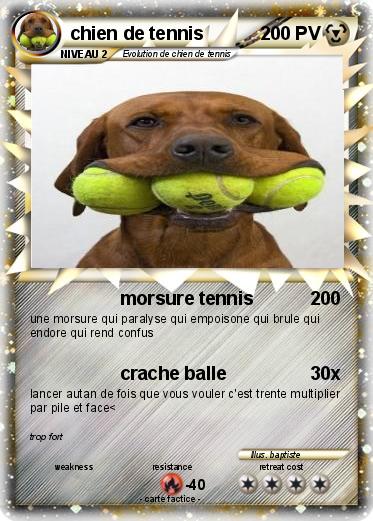 Pokemon chien de tennis