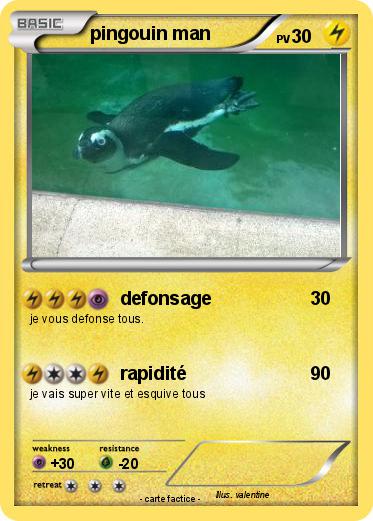 Pokemon pingouin man