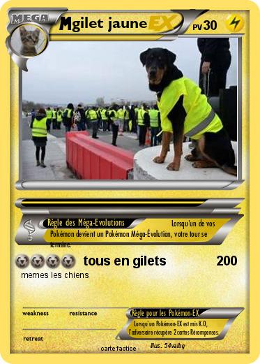 Pokemon gilet jaune