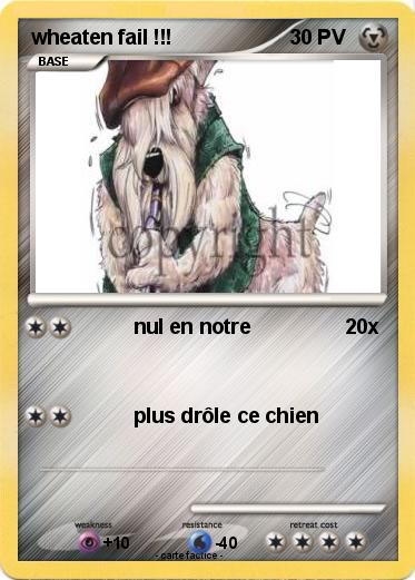 Pokemon wheaten fail !!!