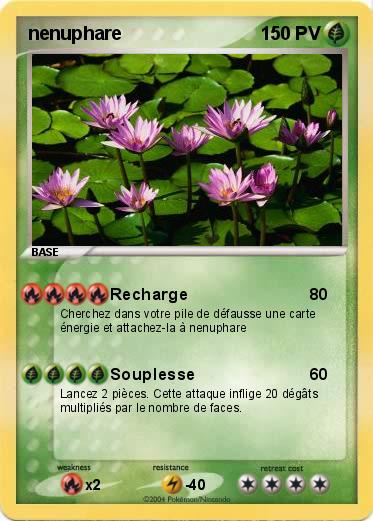 Pokemon nenuphare
