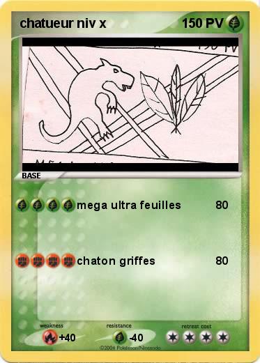 Pokemon chatueur niv x