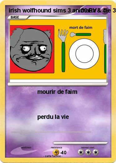 Pokemon irish wolfhound sims 3 animaux & cie 3DS