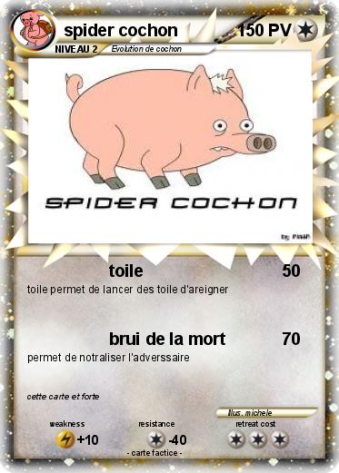 Pokemon spider cochon