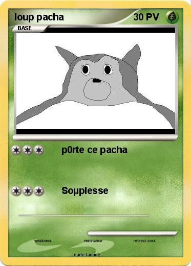 Pokemon loup pacha