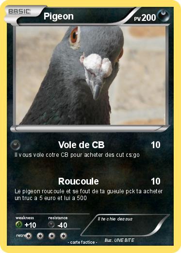 Pokemon Pigeon