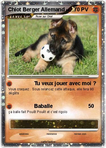 Pokemon Chiot Berger Allemand