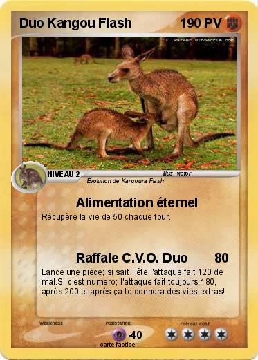 Pokemon Duo Kangou Flash