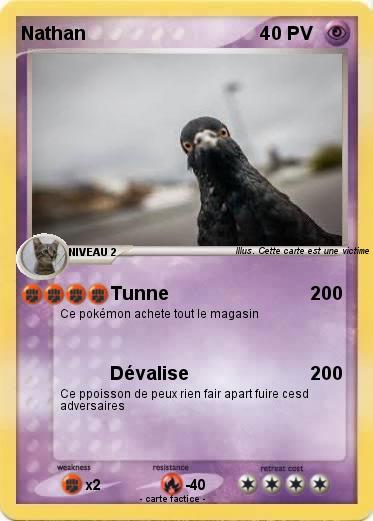 Pokemon Nathan